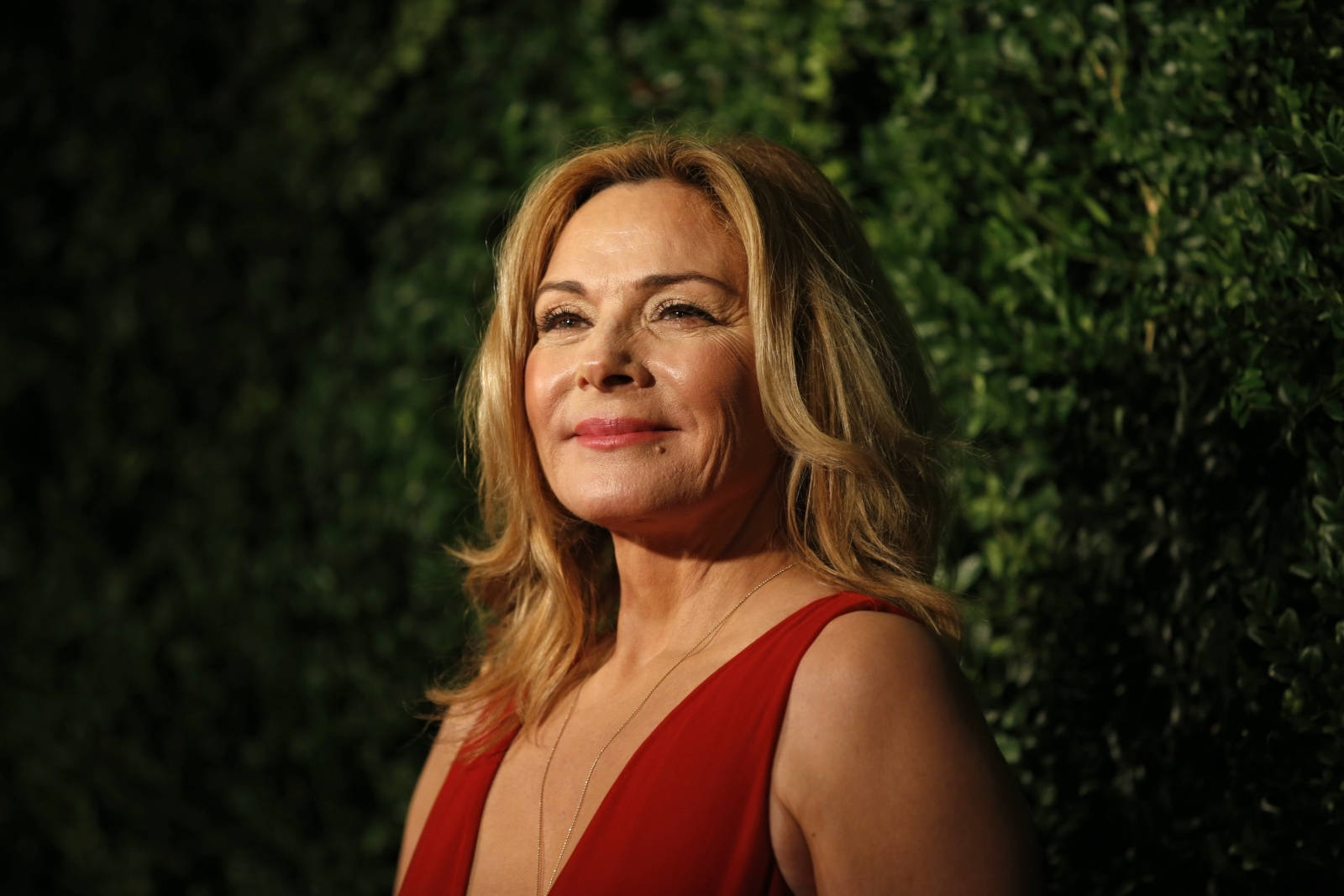 Sex And The City Actress Kim Cattrall Background