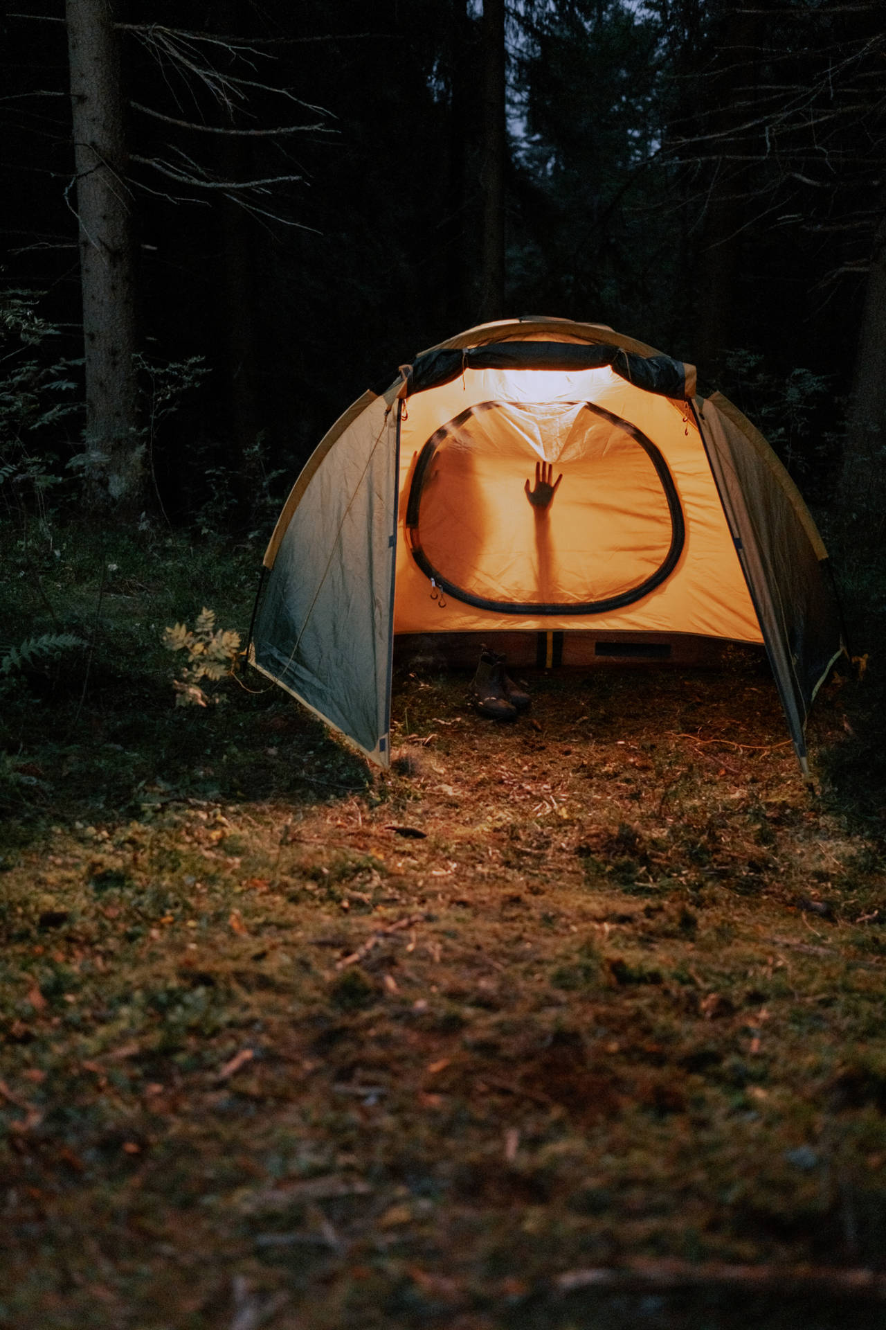 Sexual Camping Night