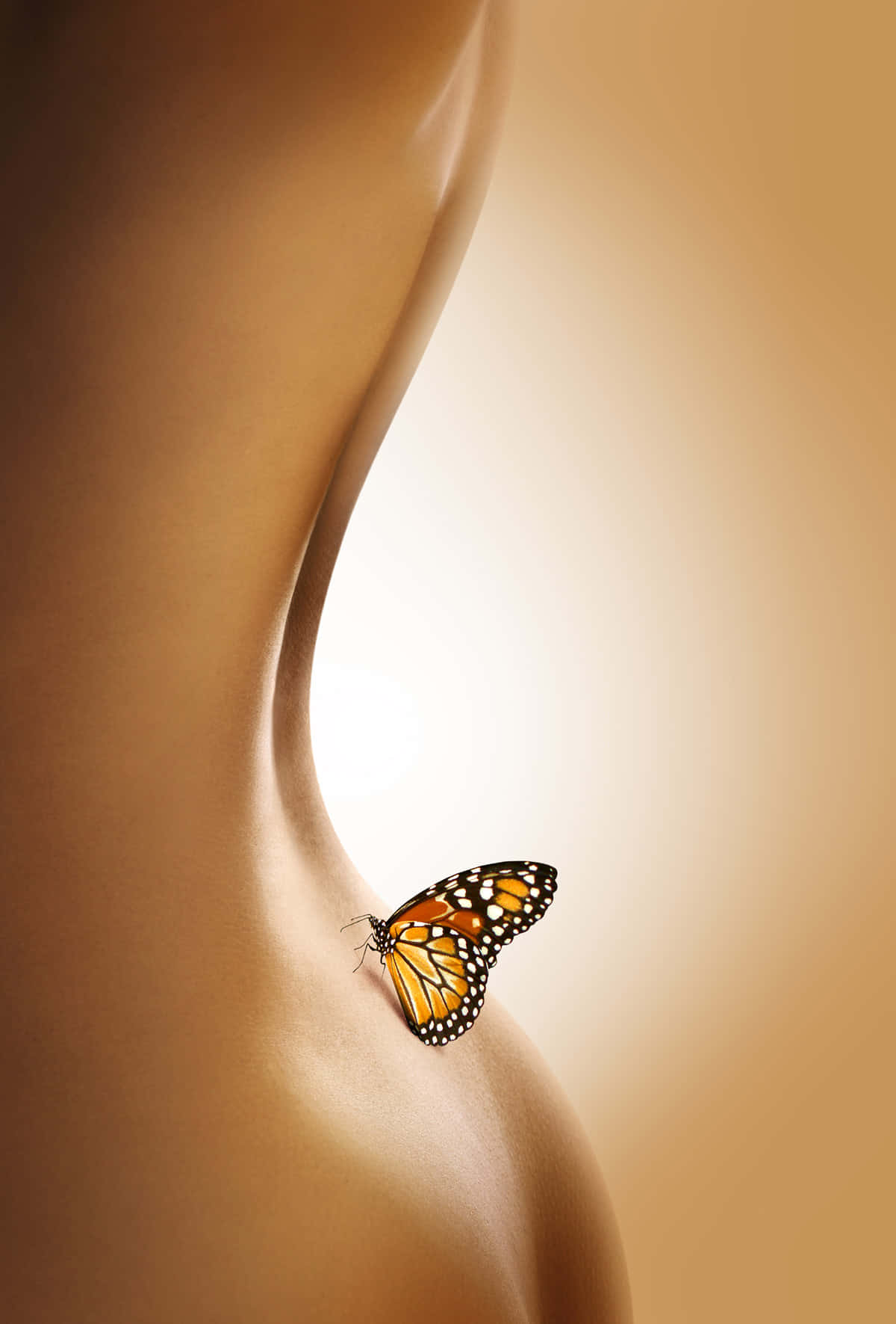 Sexy Body Butterfly Background