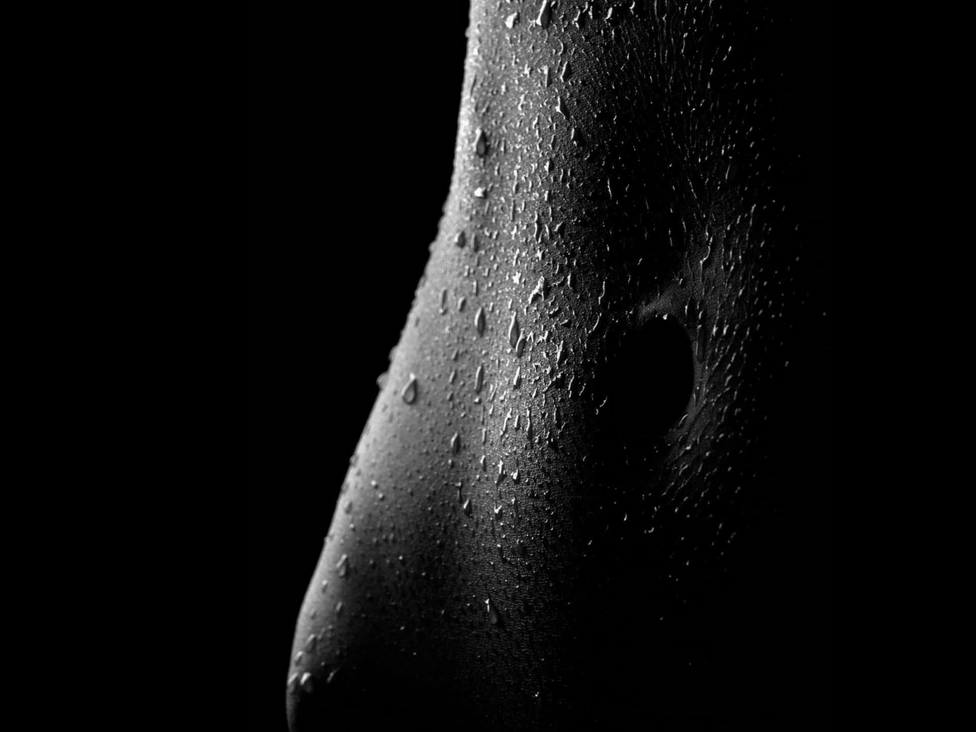 Sexy Body Droplets Background