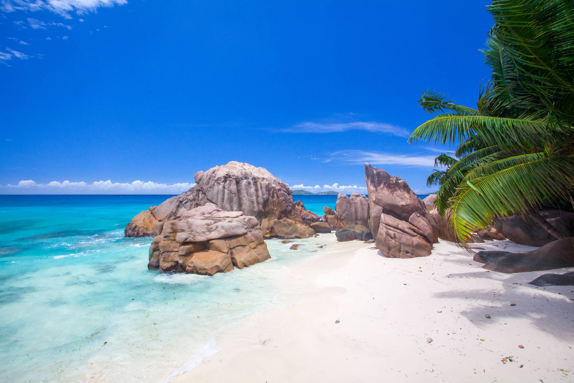 Seychelles Anse Banane Background