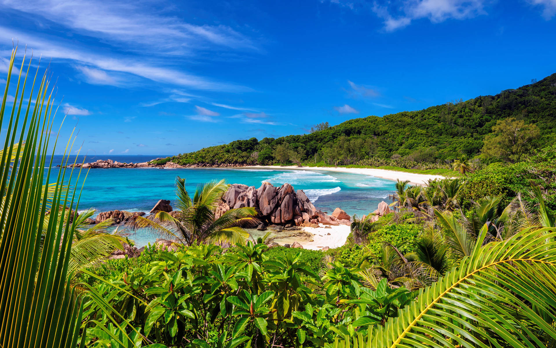 Seychelles Anse Cocos Background