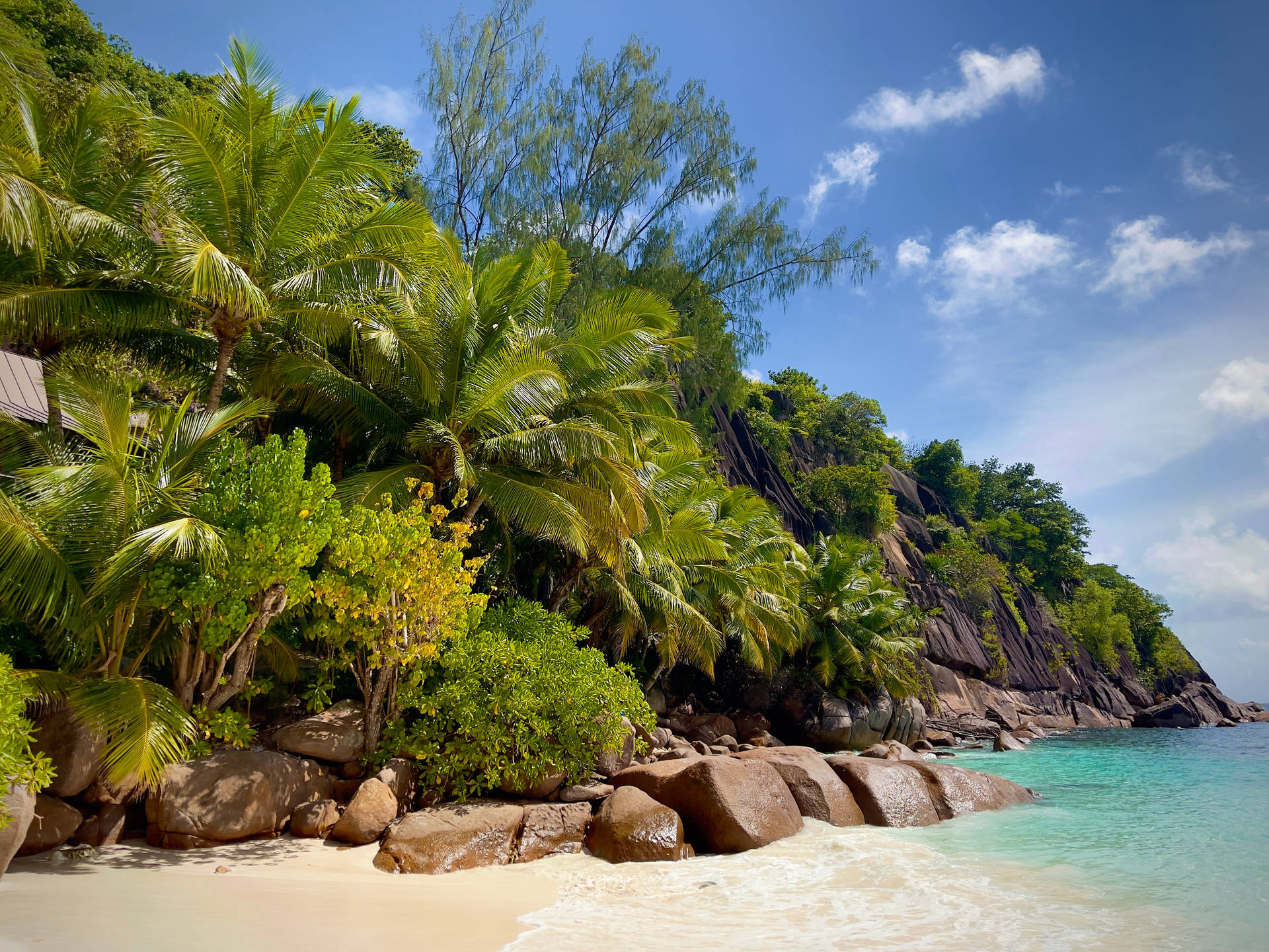 Seychelles Anse Intendance Background