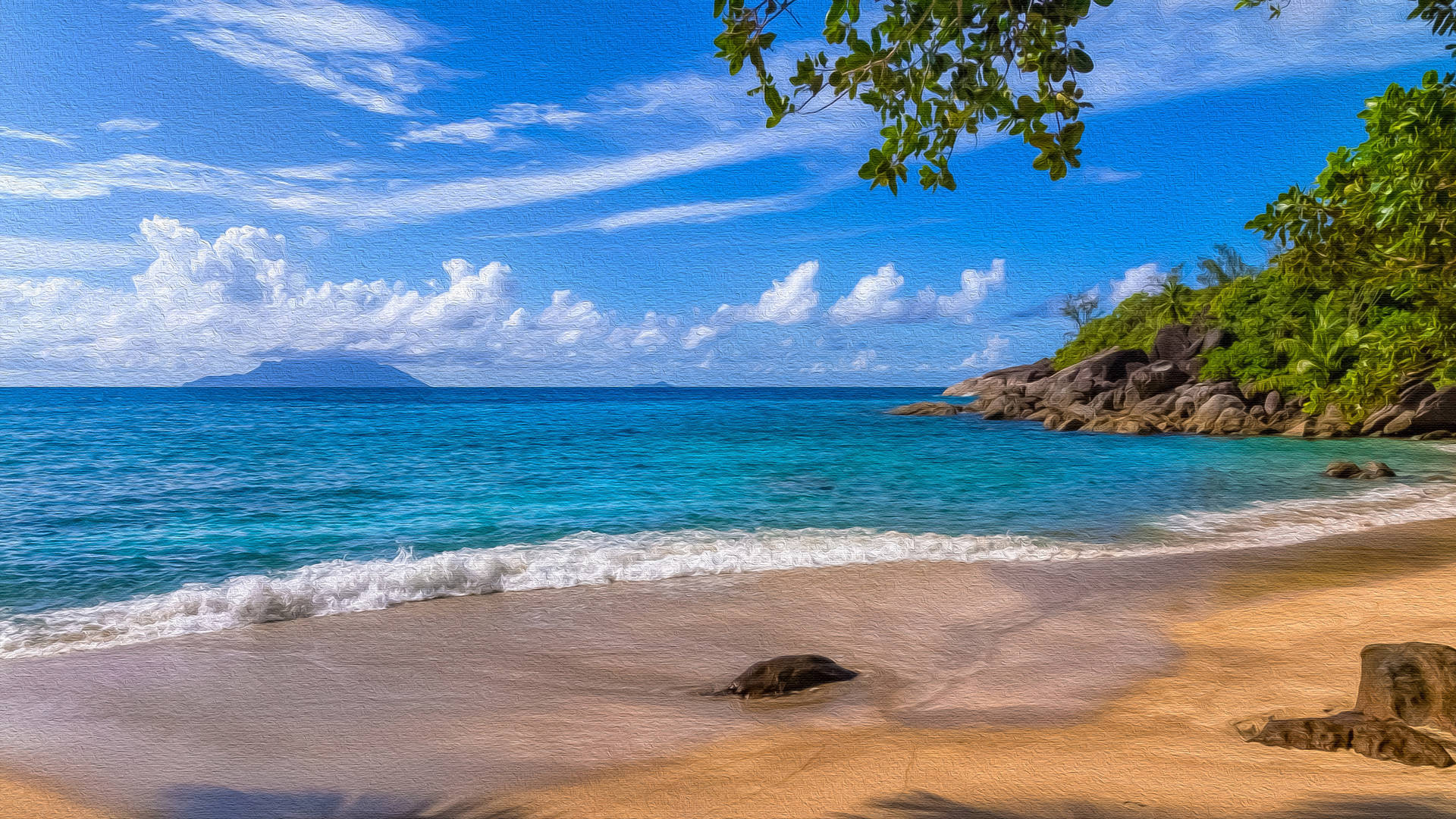 Seychelles Anse Major Shore Background
