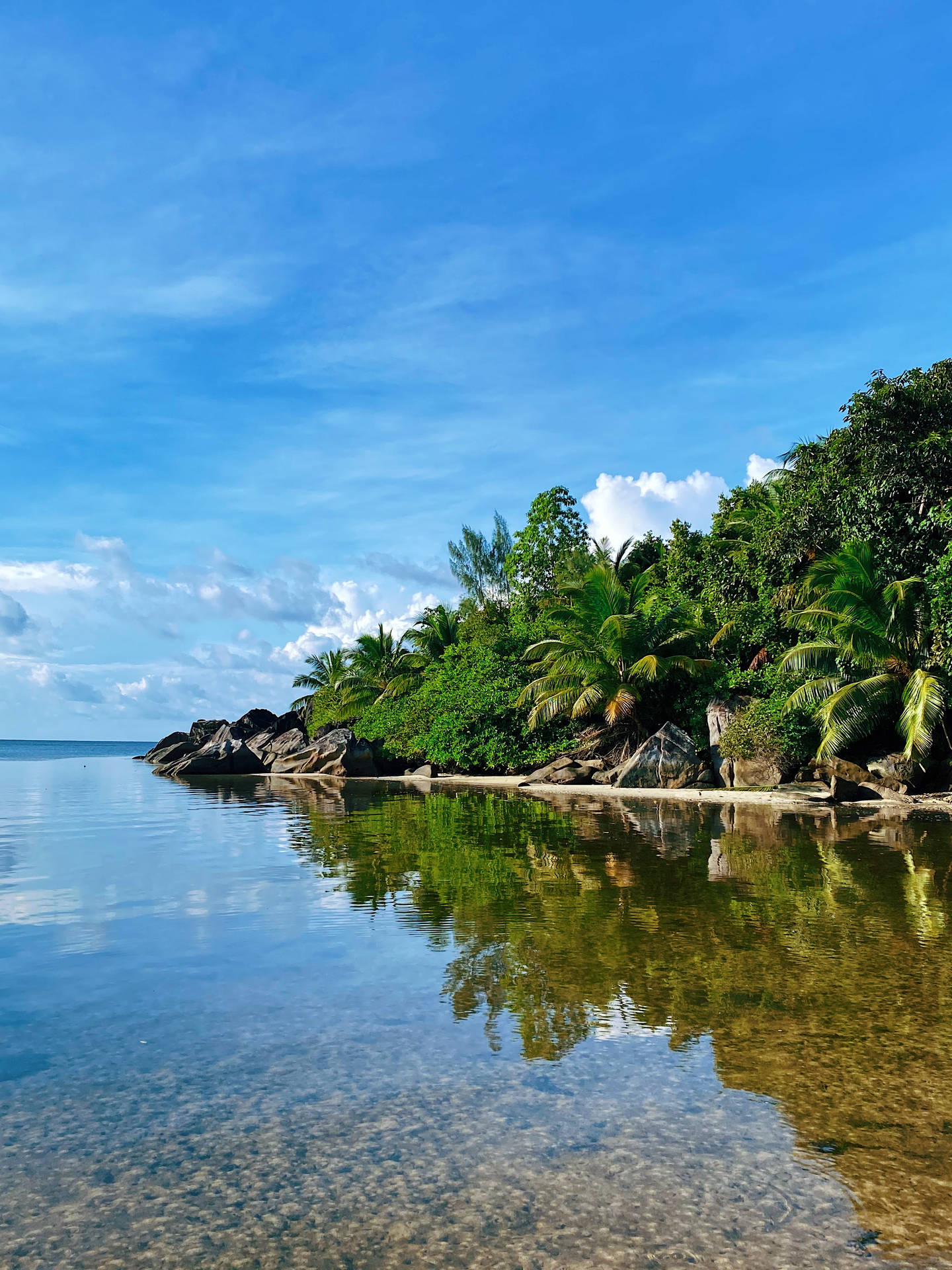 Seychelles Island Reflections Background