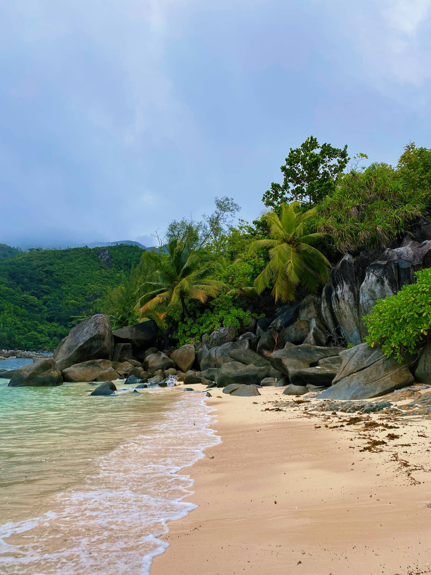 Seychelles Mahe Island Shore Background