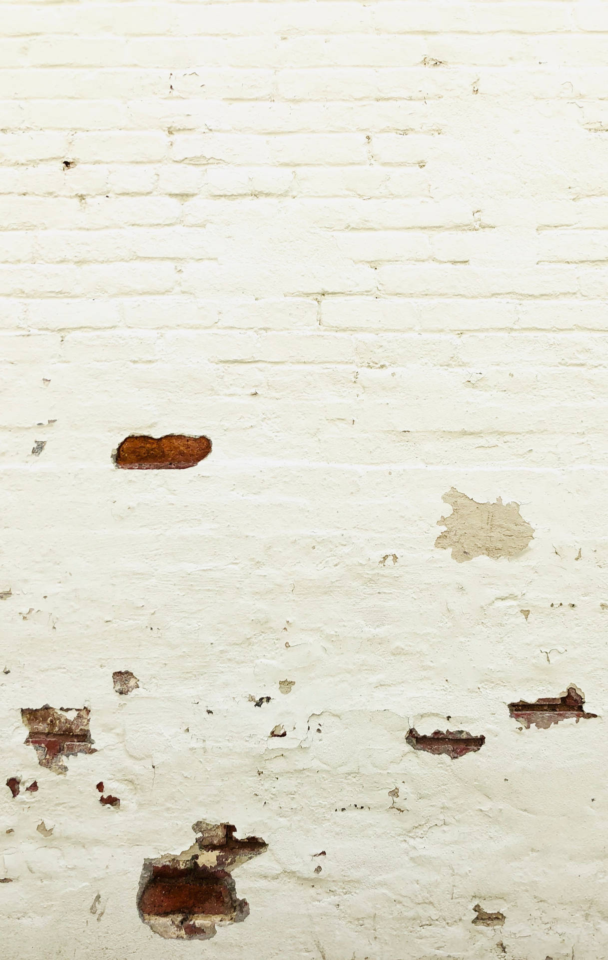 Shabby Half Damaged White Brick Wall Background