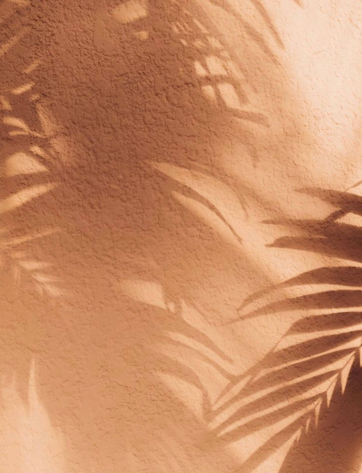 Shadow Leaves On Tan Aesthetic Background