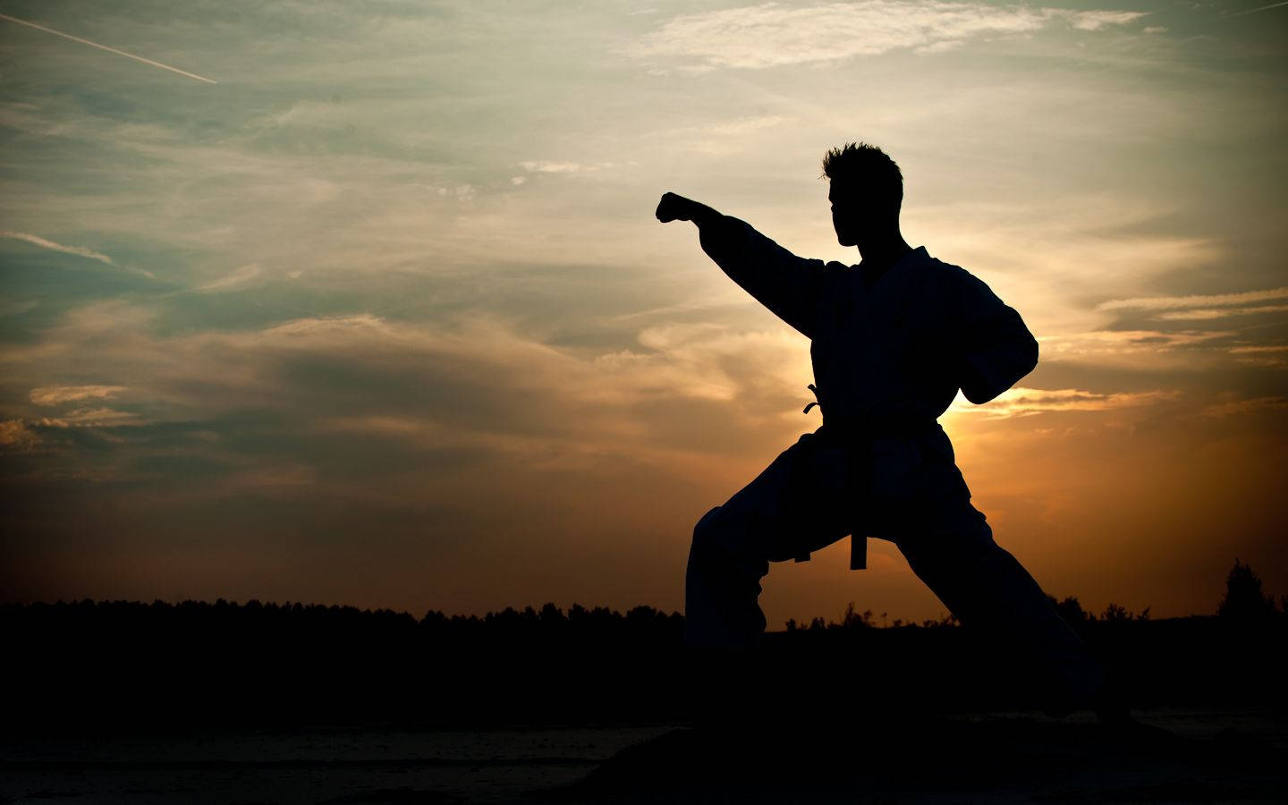 Shadow Of Tai Chi Athlete Background