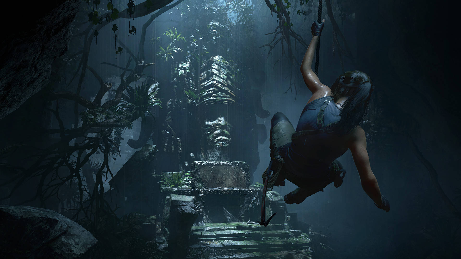 Shadow Of The Tomb Raider Hanging Vine Background