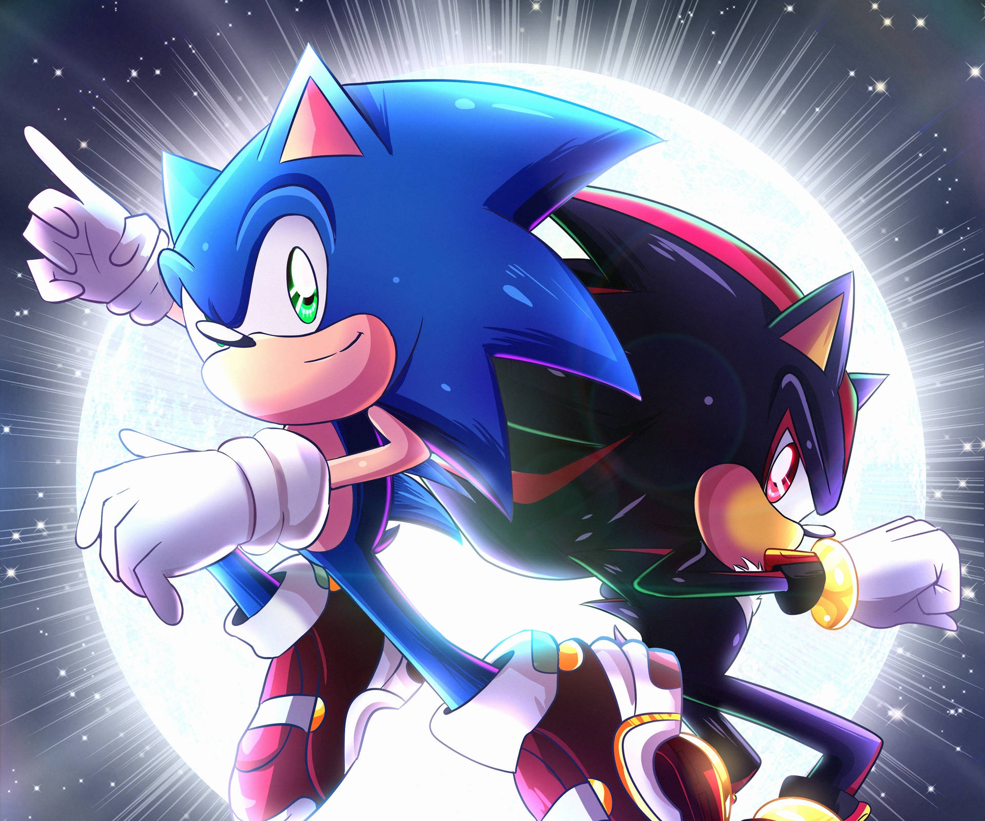 Shadow The Hedgehog And Sonic Background