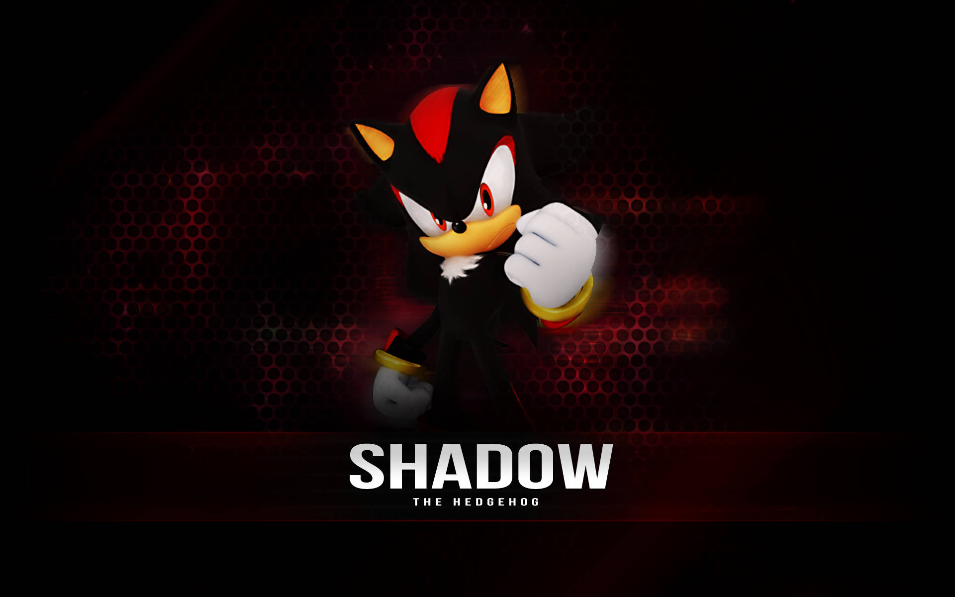 Shadow The Hedgehog Game Fist