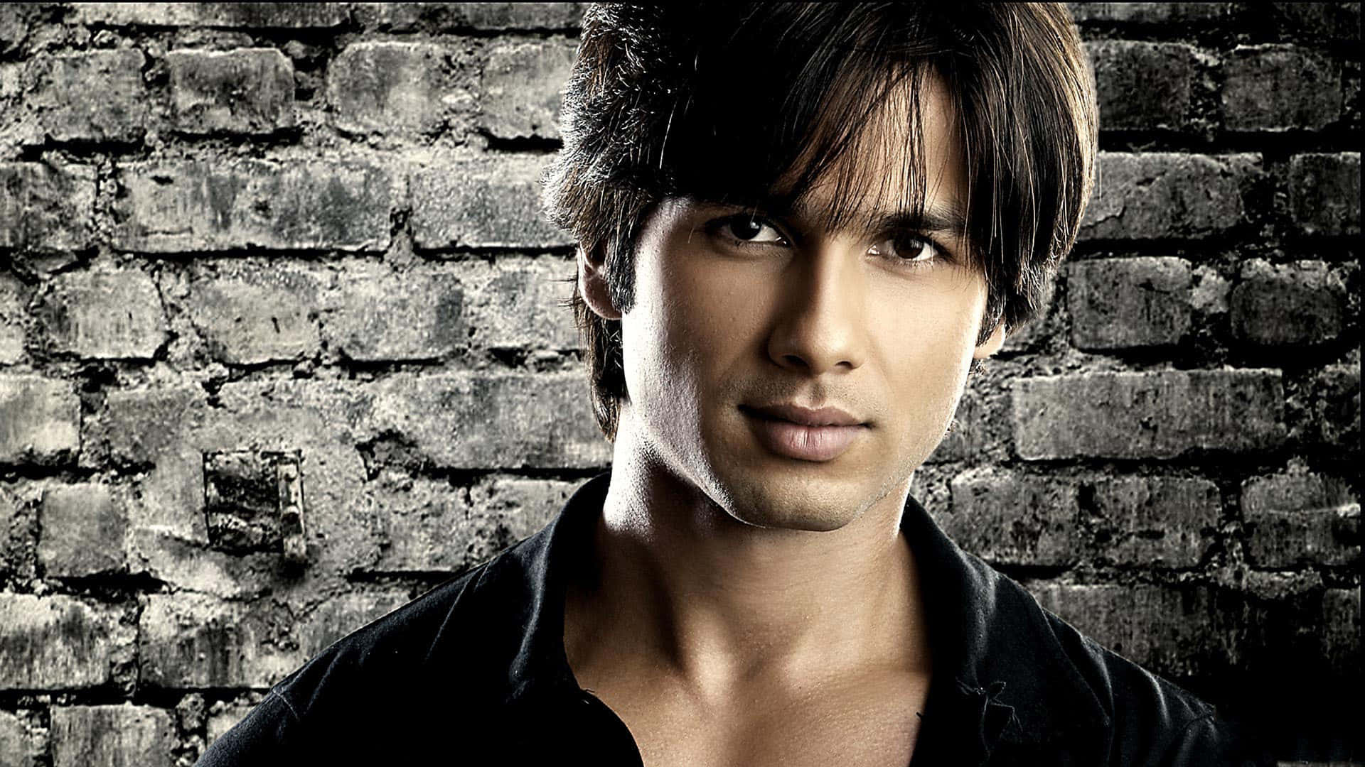 Shahid Kapoor Male Celebrity