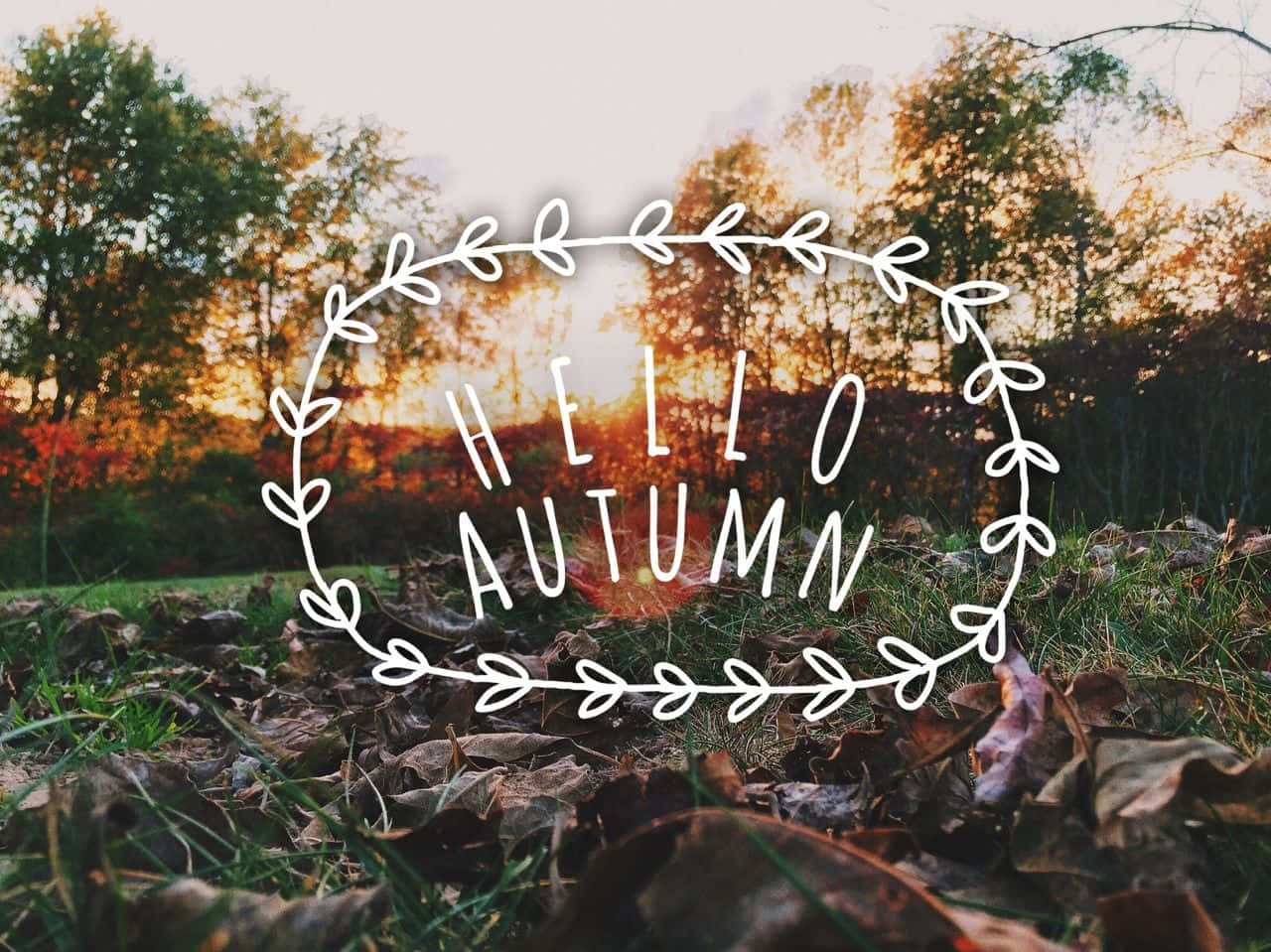 Shake Off Winter & Hello Fall! Background