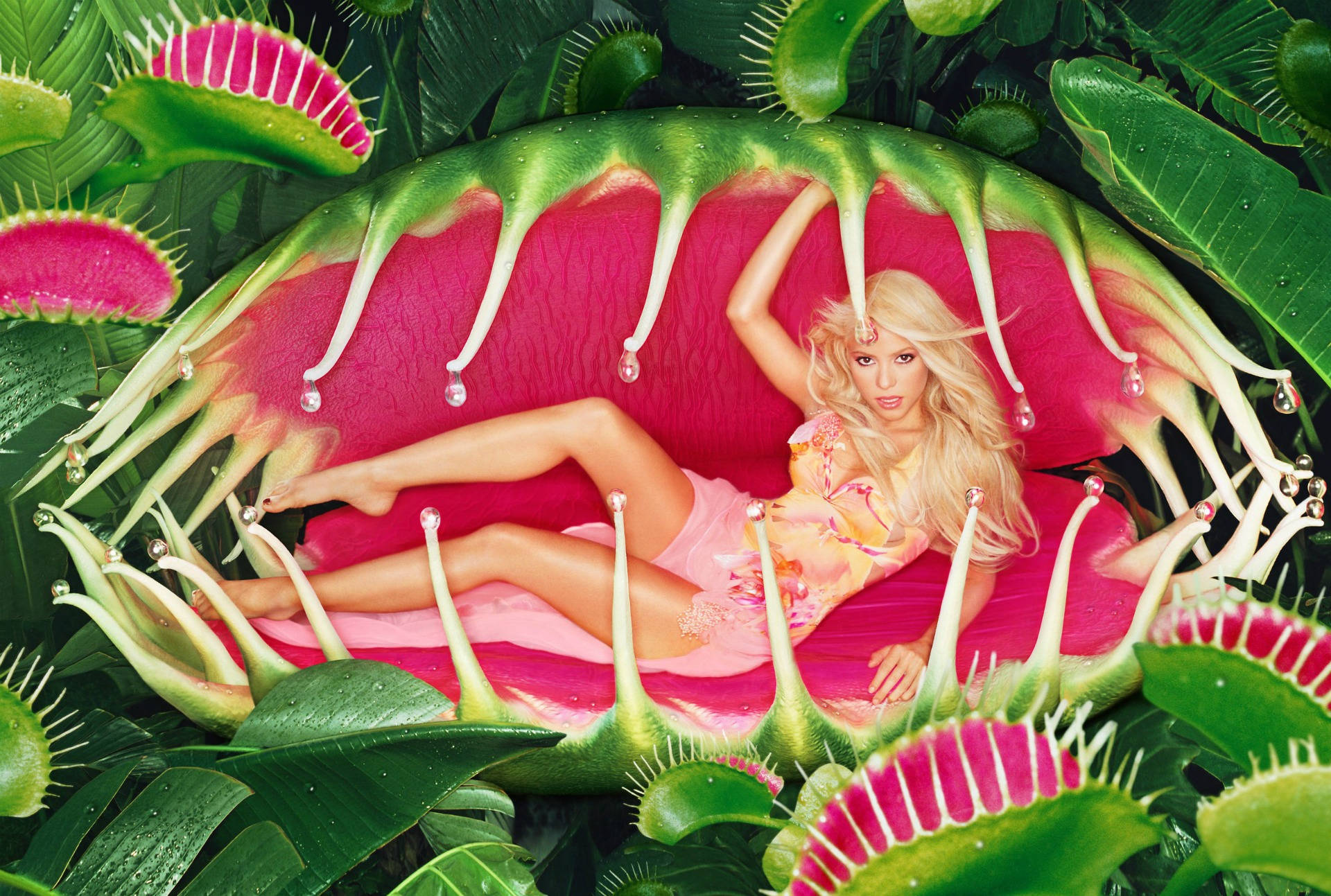 Shakira Venus Flytrap Background