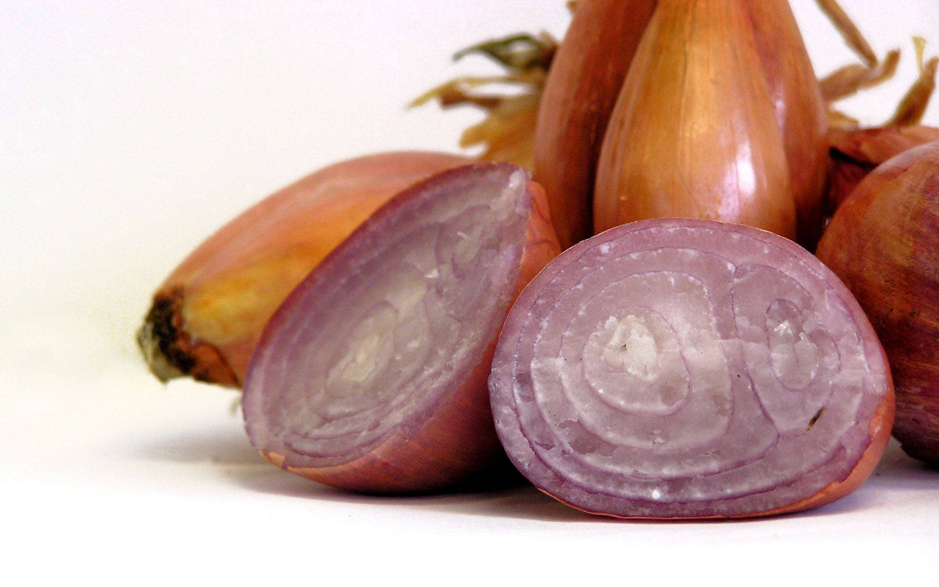 Shallots Onion Variety Unique Display Background