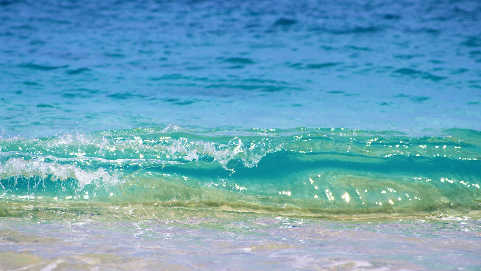 Shallow Beach Wave