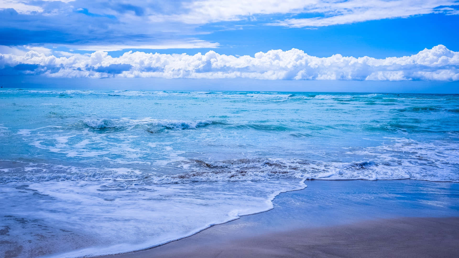 Shallow Beach Waves