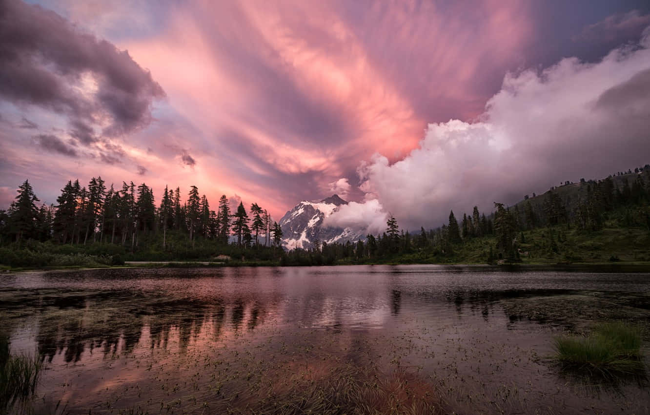 Shallow Lake Scenery