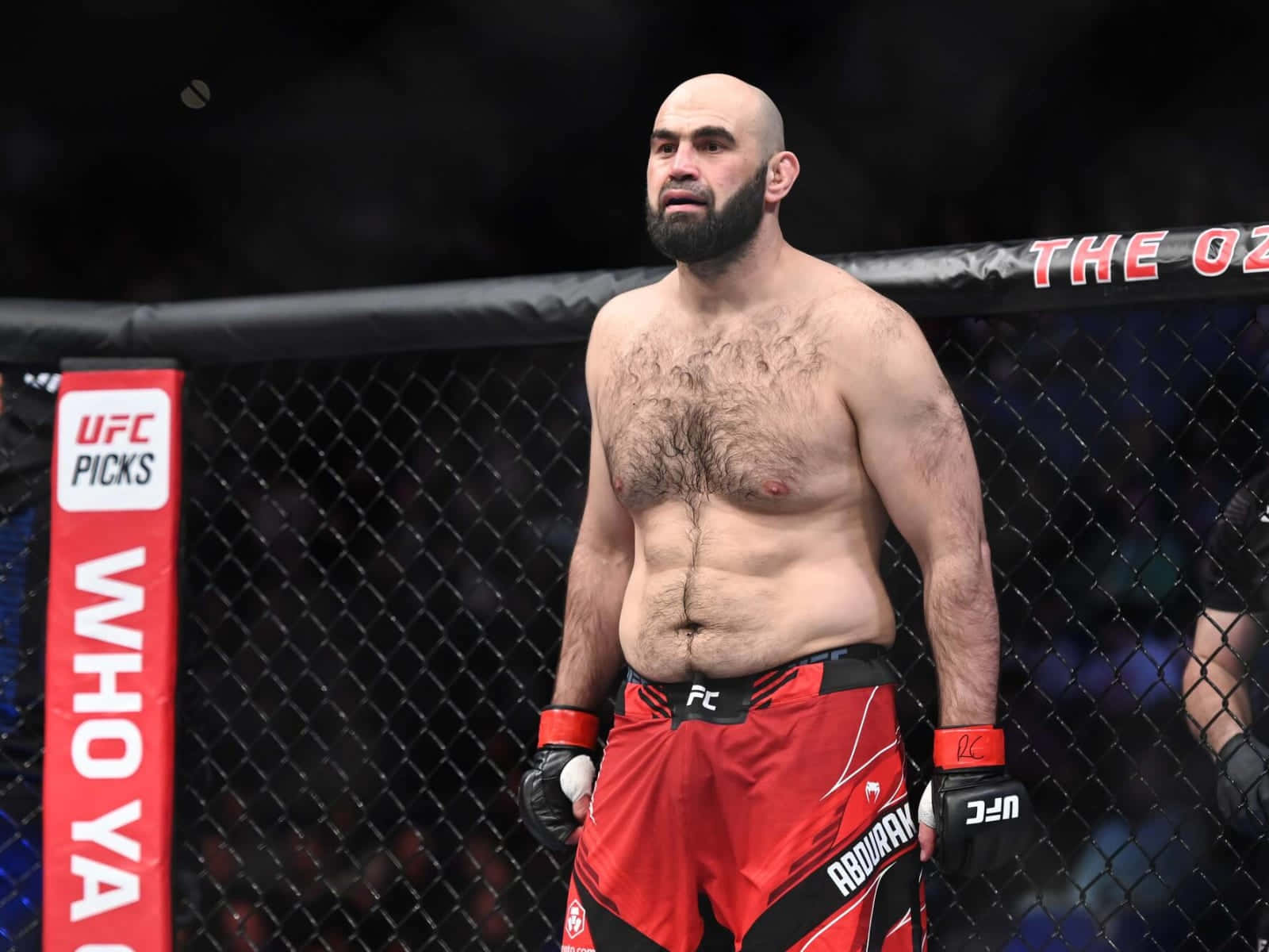 Shamil Abdurakhimov, A Renowned Mma Fighter In Action