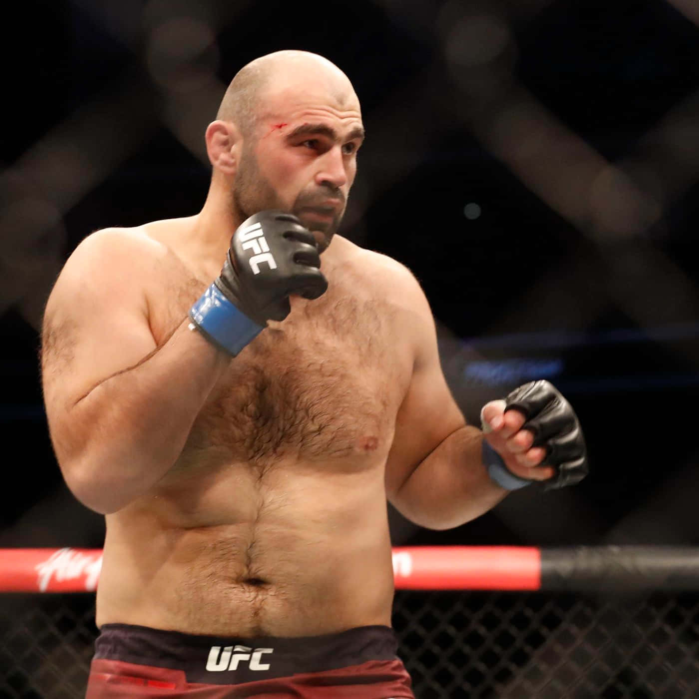 Shamil Abdurakhimov Ready To Fight Pose Background