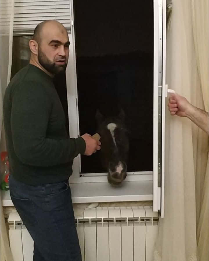 Shamil Abdurakhimov With Horse By The Window
