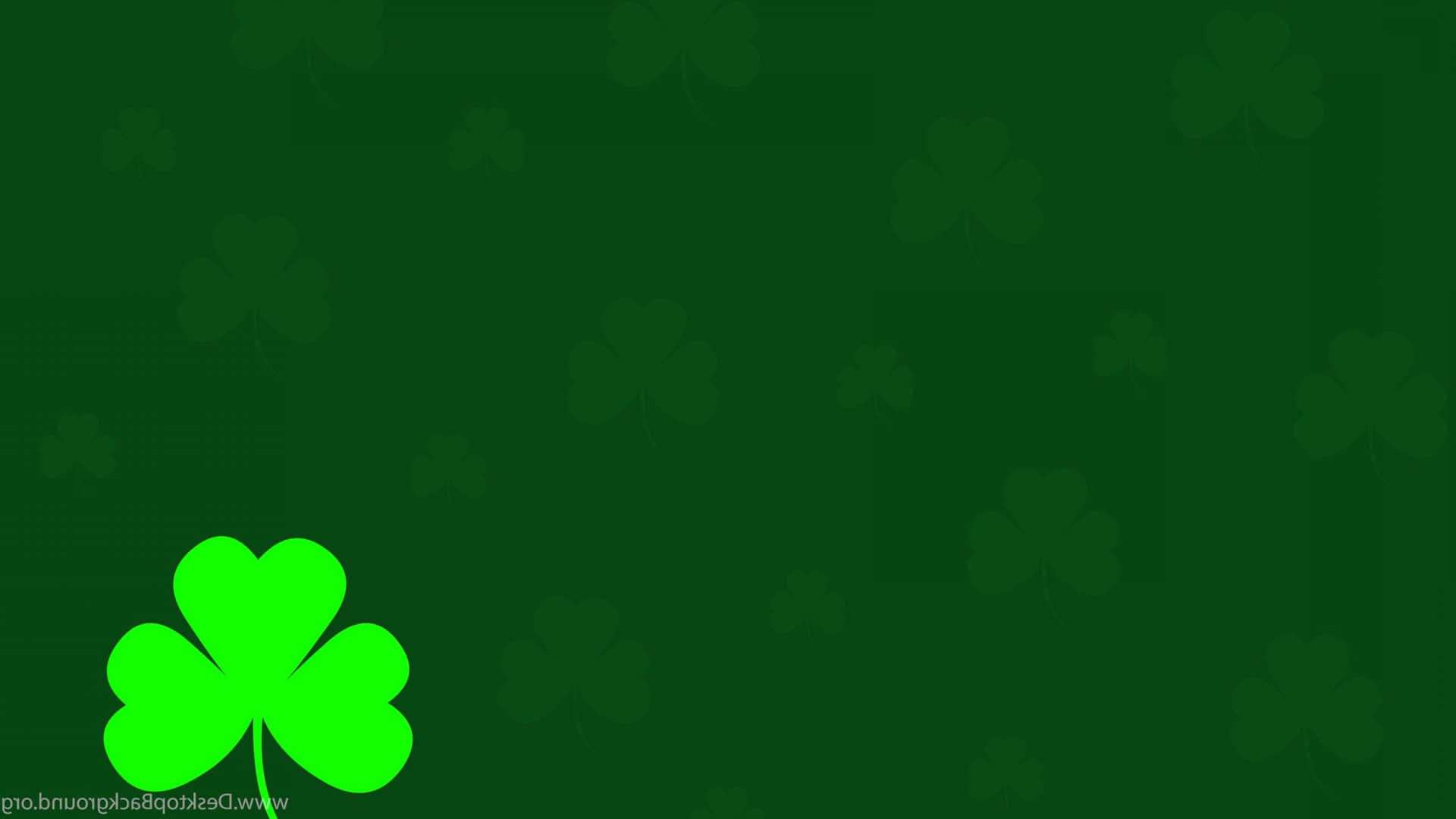 Shamrock, The Symbol Of Irish Luck And Heritage