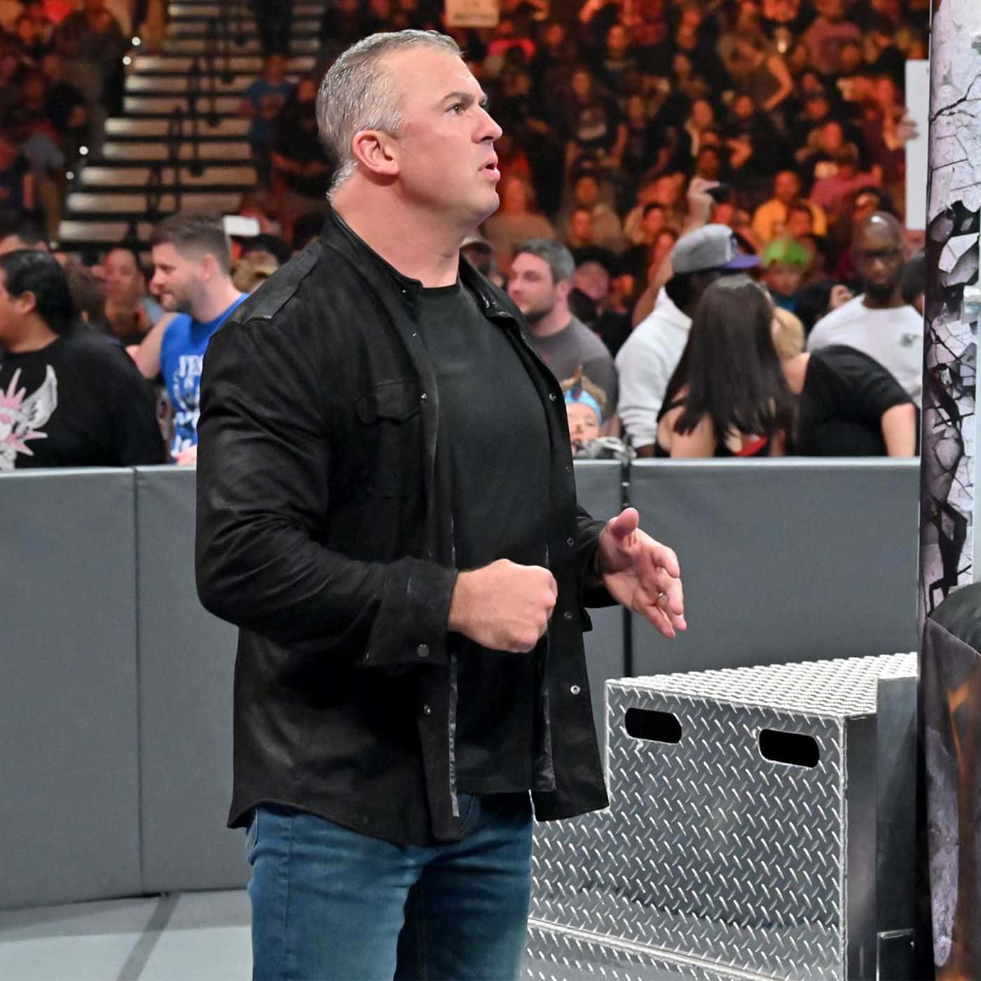 Shane Mcmahon Wwe Ringside