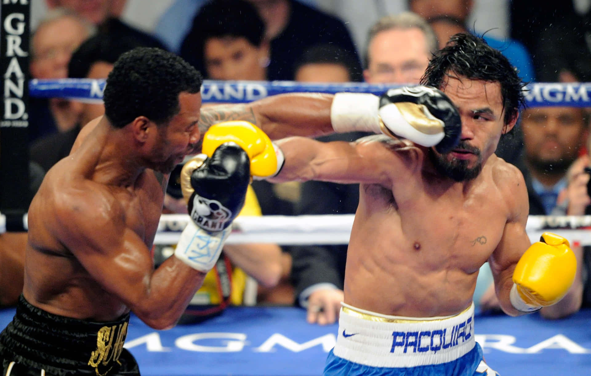 Shane Mosley And Pacquiao Punching Background