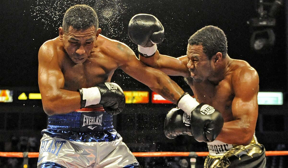 Shane Mosley Missing Punches