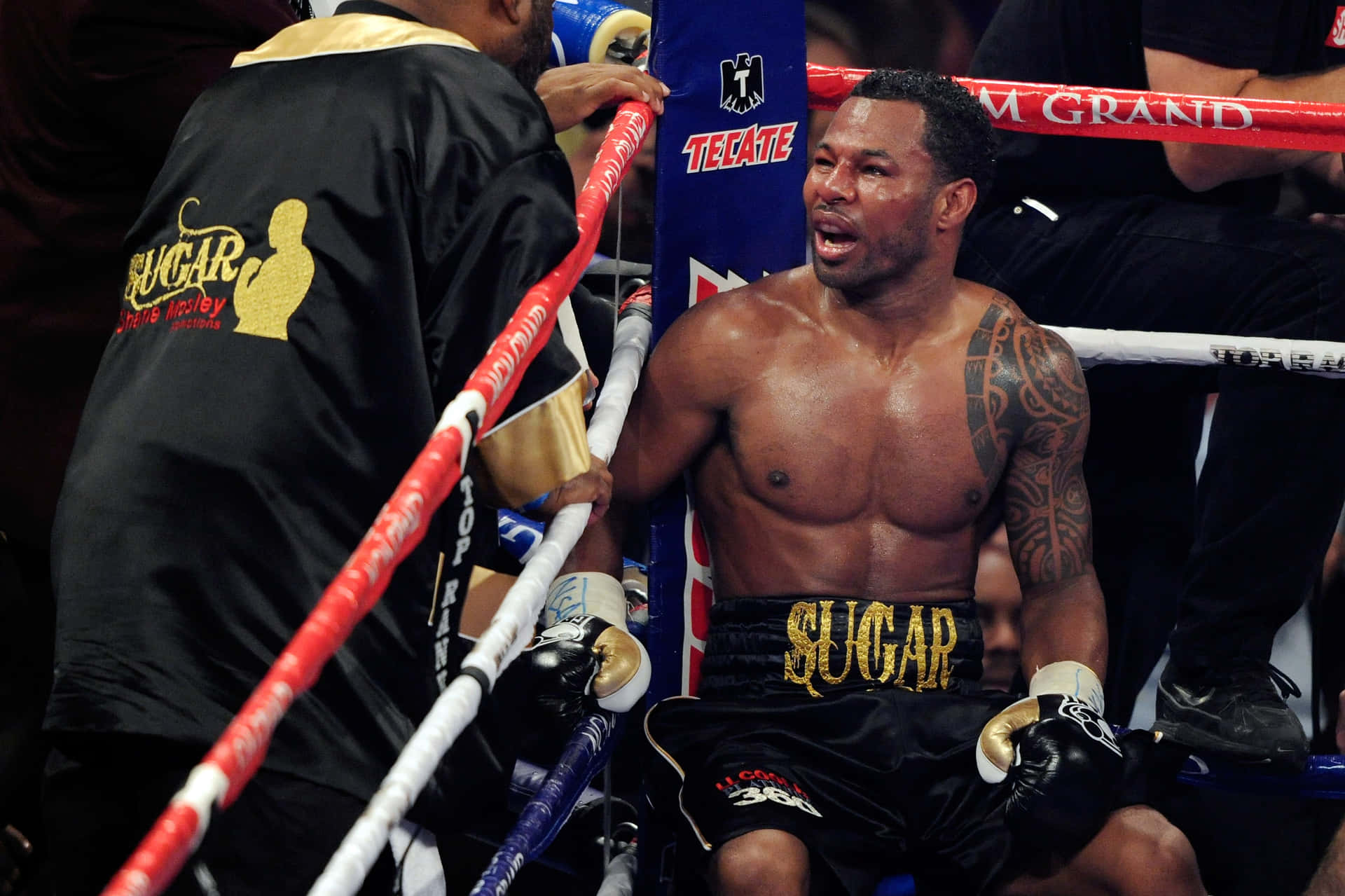 Shane Mosley Resting During Fight