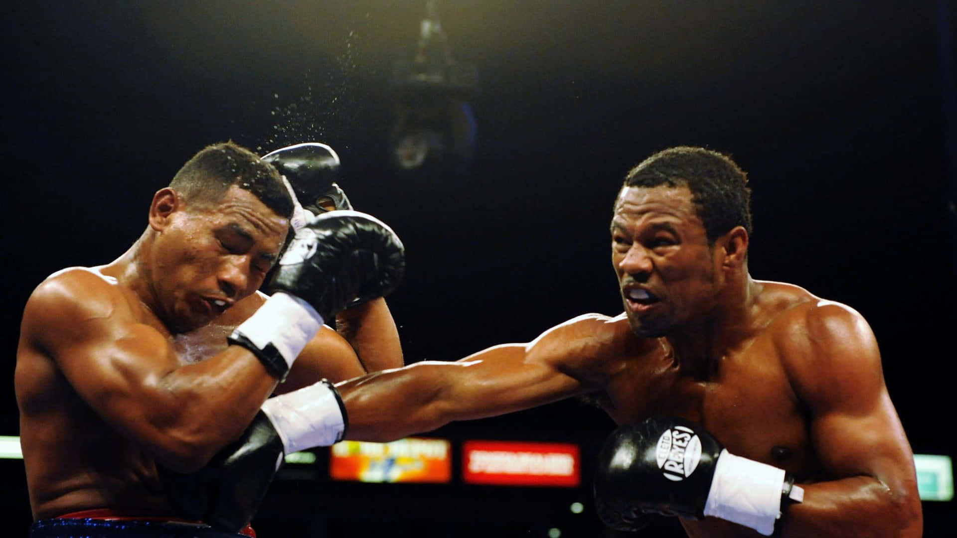 Shane Mosley Right Hook Punch