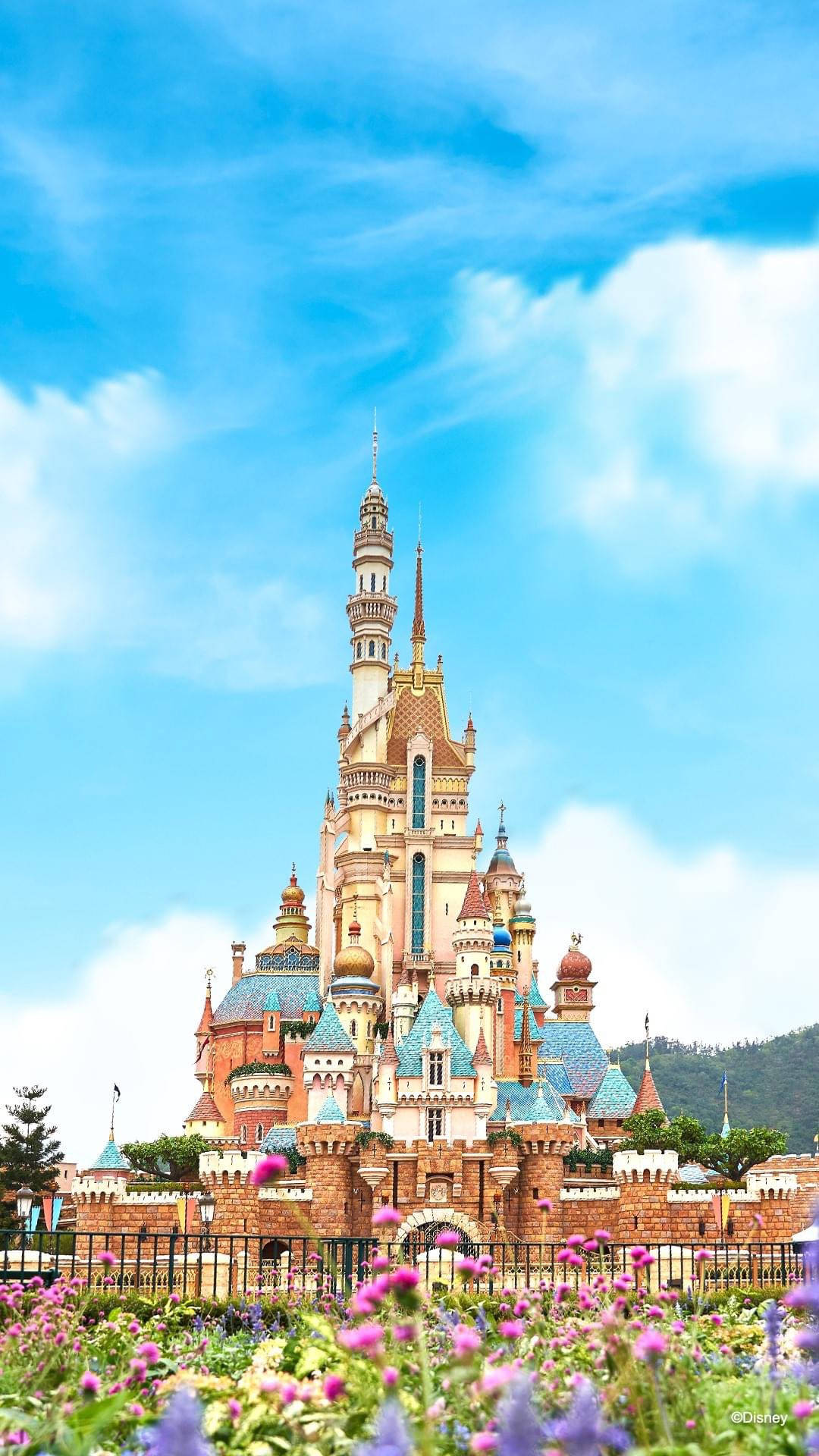 Shanghai Disney Castle