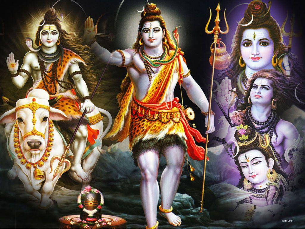 Shankar Bhagwan Artwork Of Shiva Background