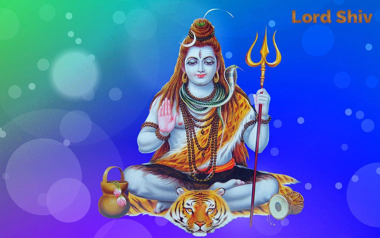 Shankar Bhagwan Shiva Sits On Tiger With Colorful Backdrop Background