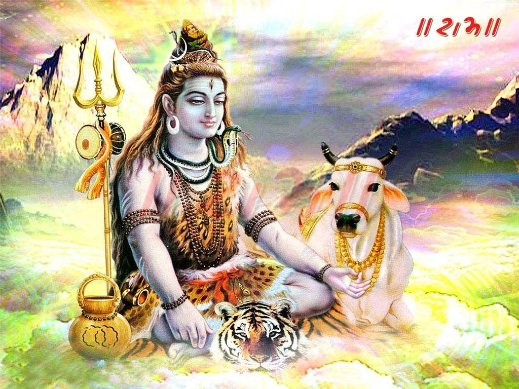 Shankar Bhagwan Shiva Sits With Cow Background