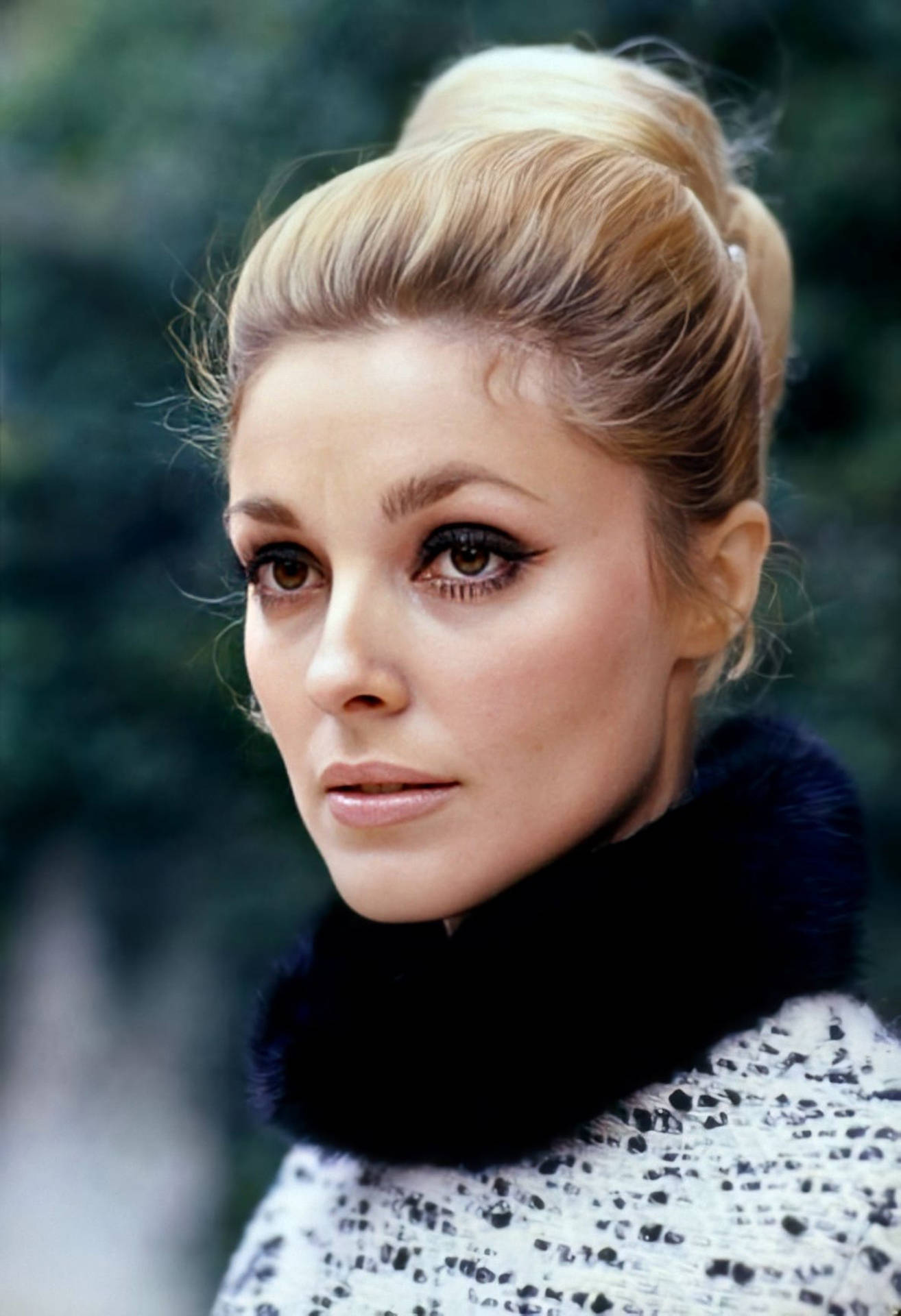 Sharon Tate Clean Bun Background