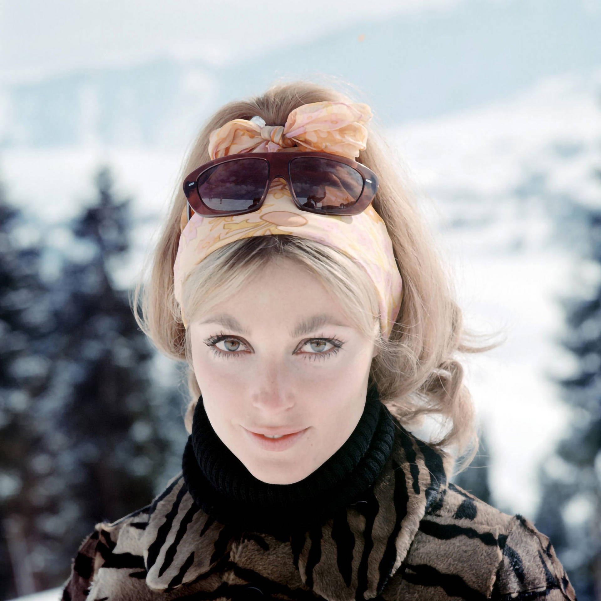 Sharon Tate Darling On Snow Background