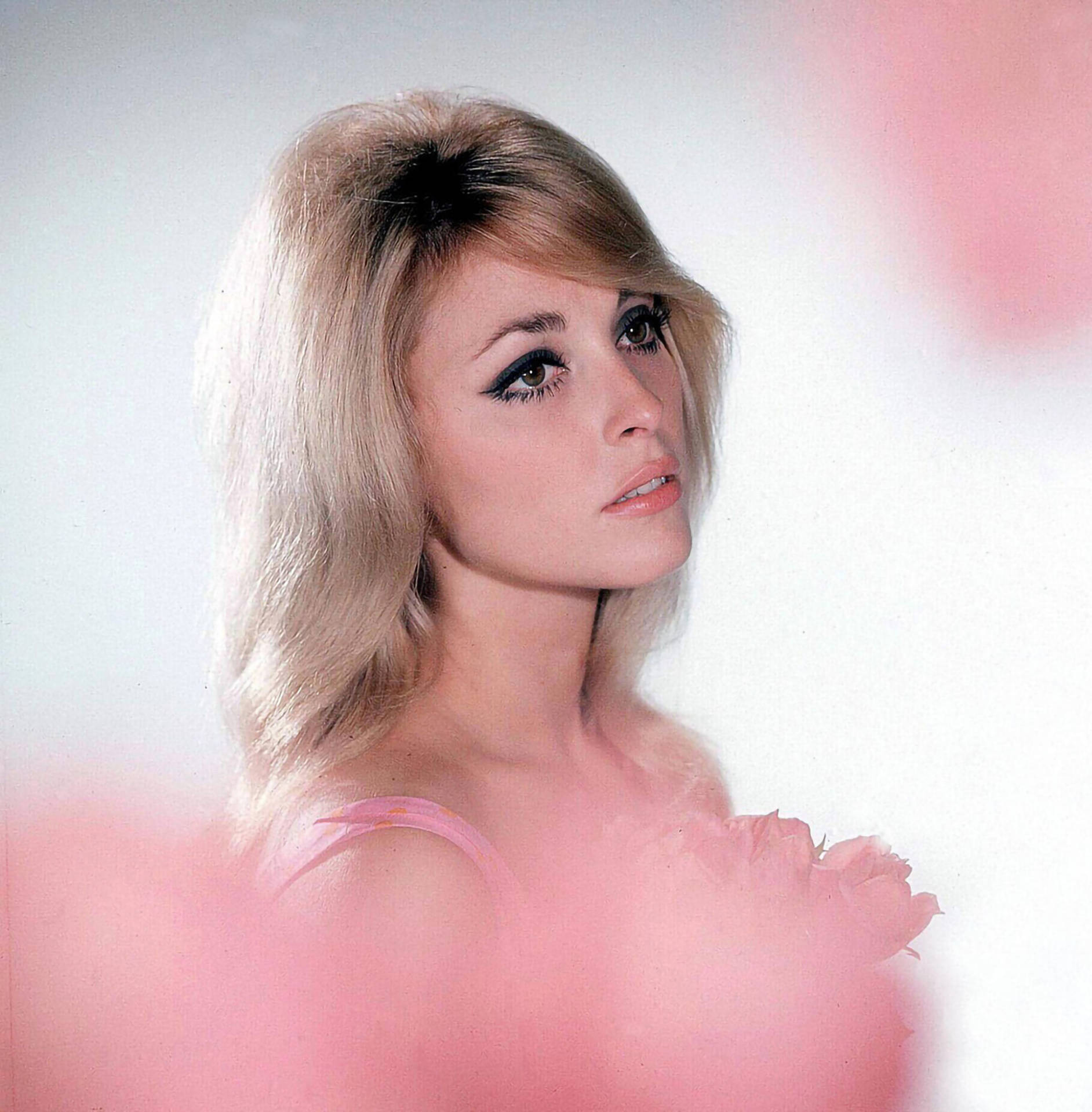 Sharon Tate Dreamy In Pink Background