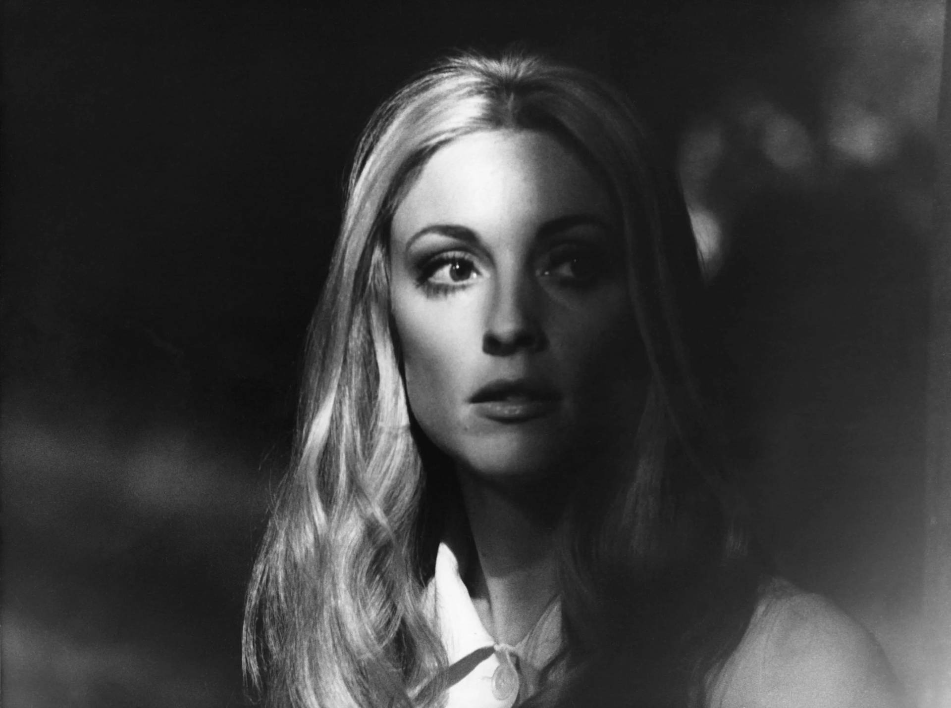 Sharon Tate Face Shadow Background