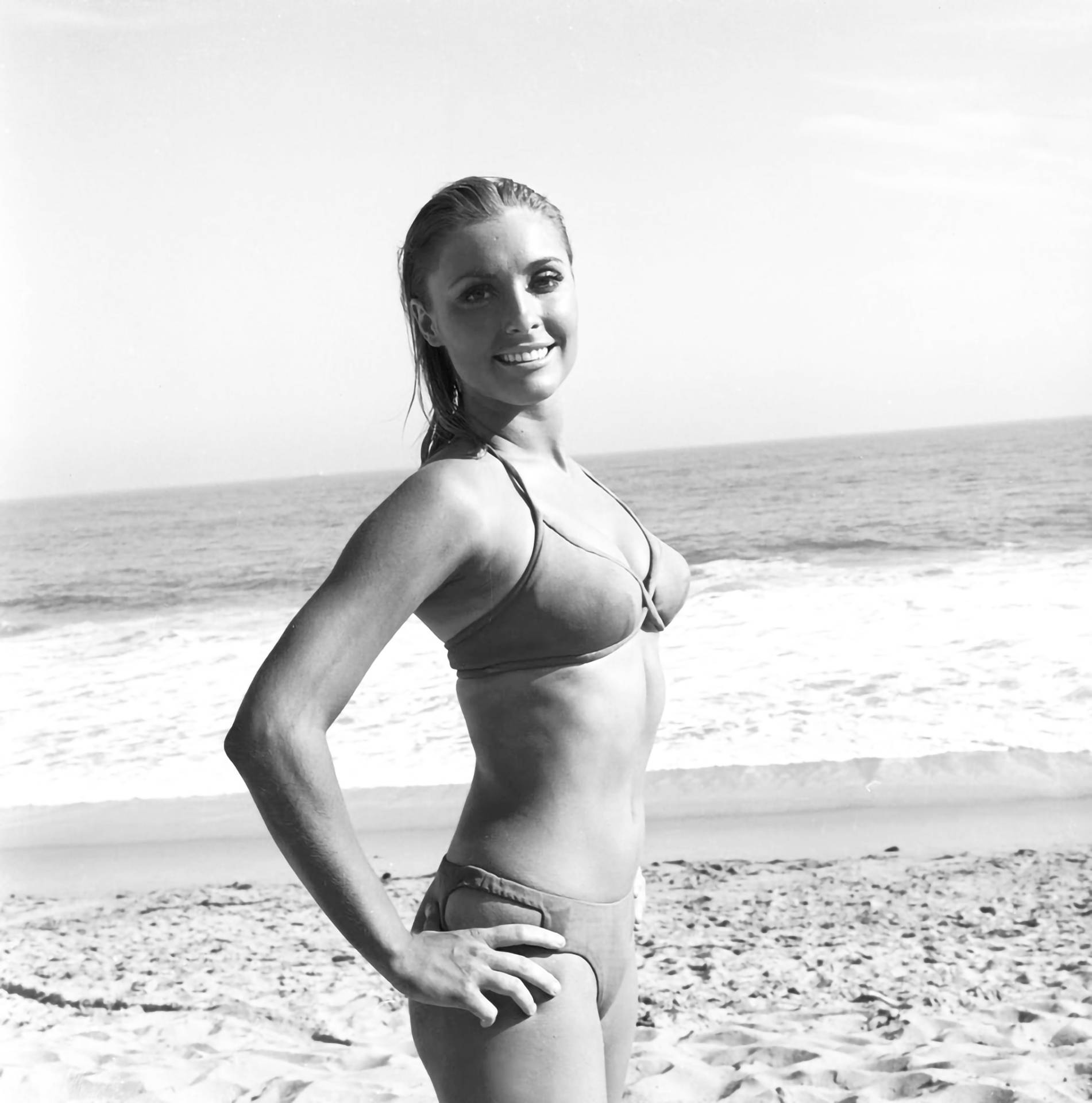 Sharon Tate In Bikini Background
