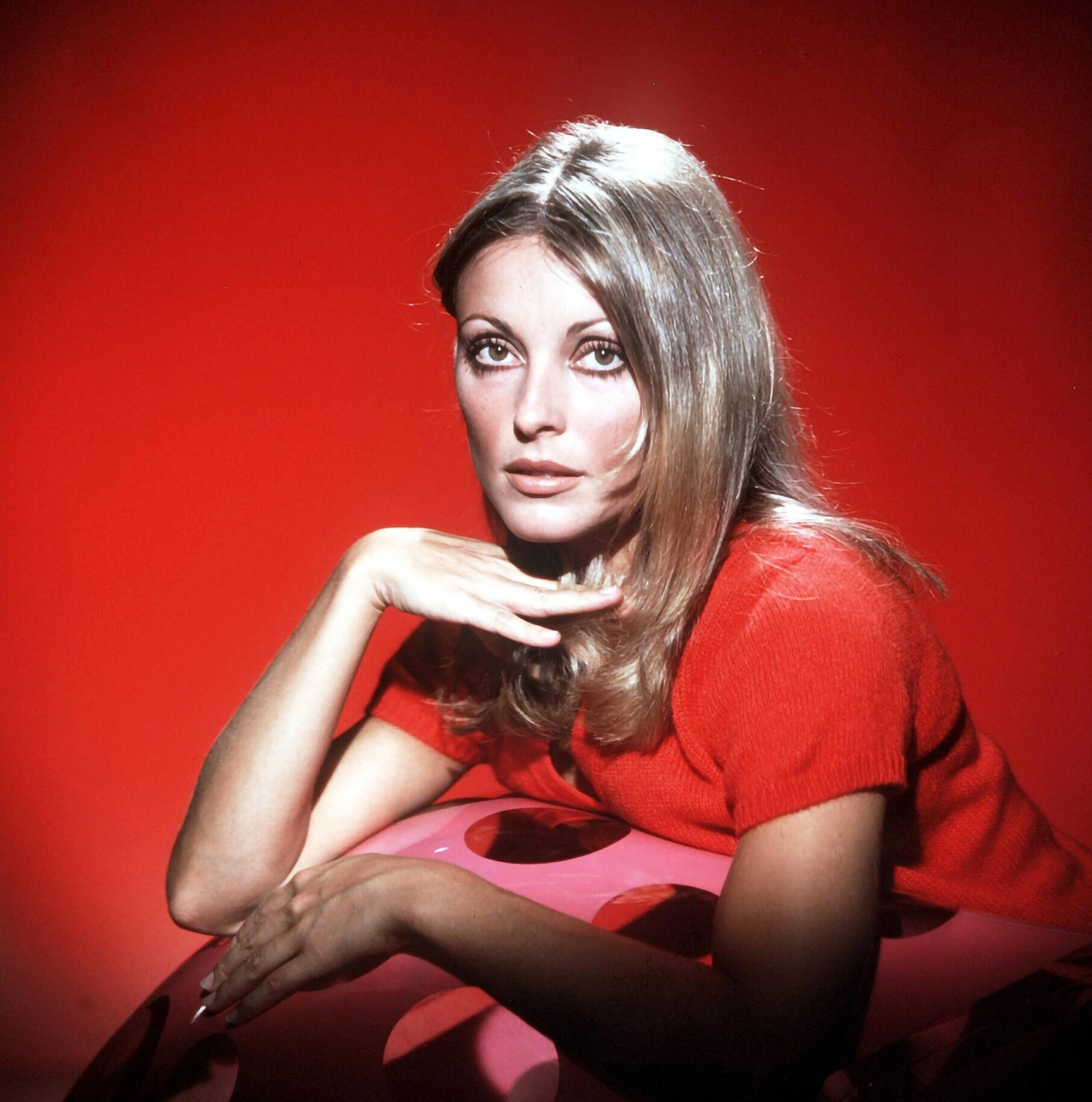 Sharon Tate On Red Background