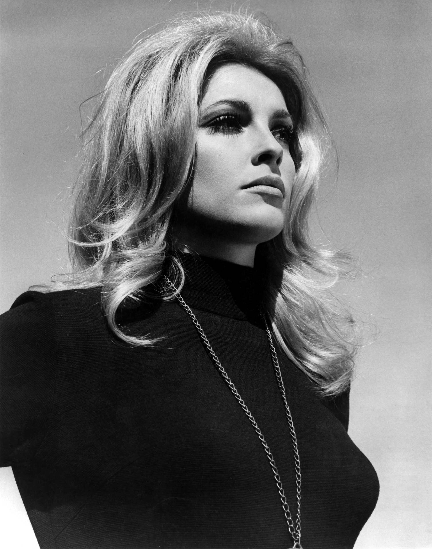 Sharon Tate Pointed Nose Background