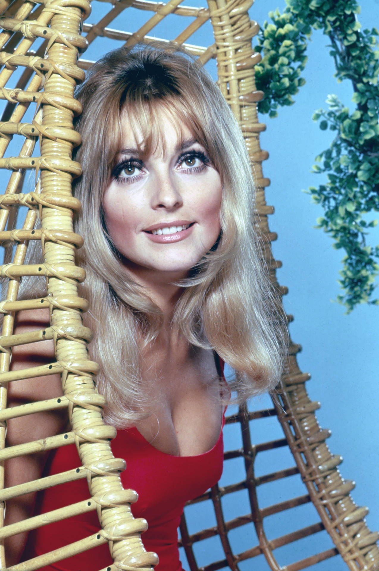 Sharon Tate Red Swimsuit
