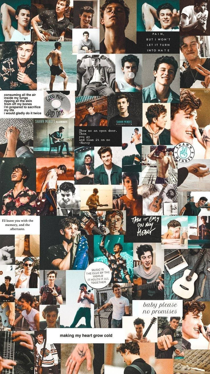 Shawn Mendes Aesthetic Collage Background