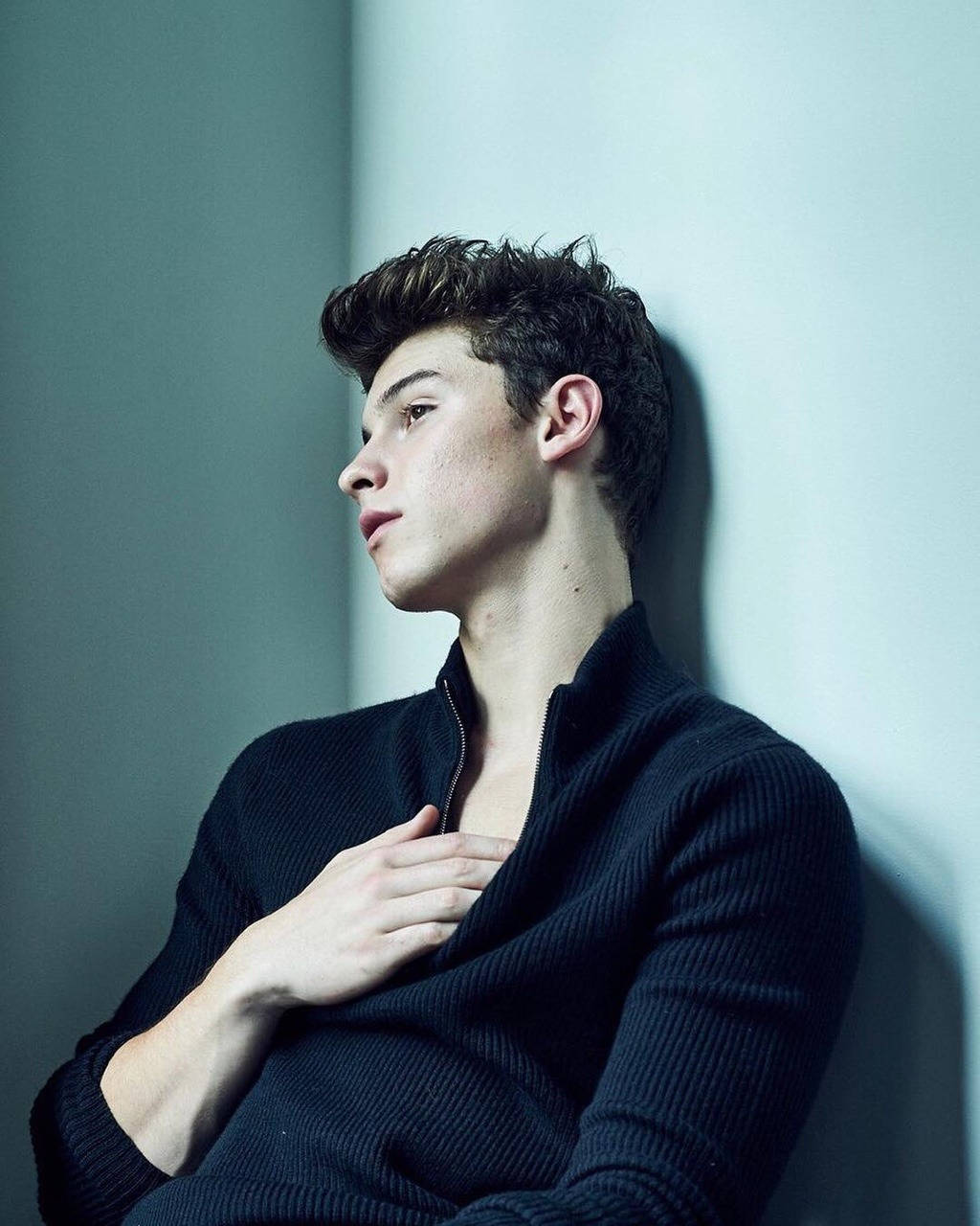 Shawn Mendes For L'uomo Vogue Background