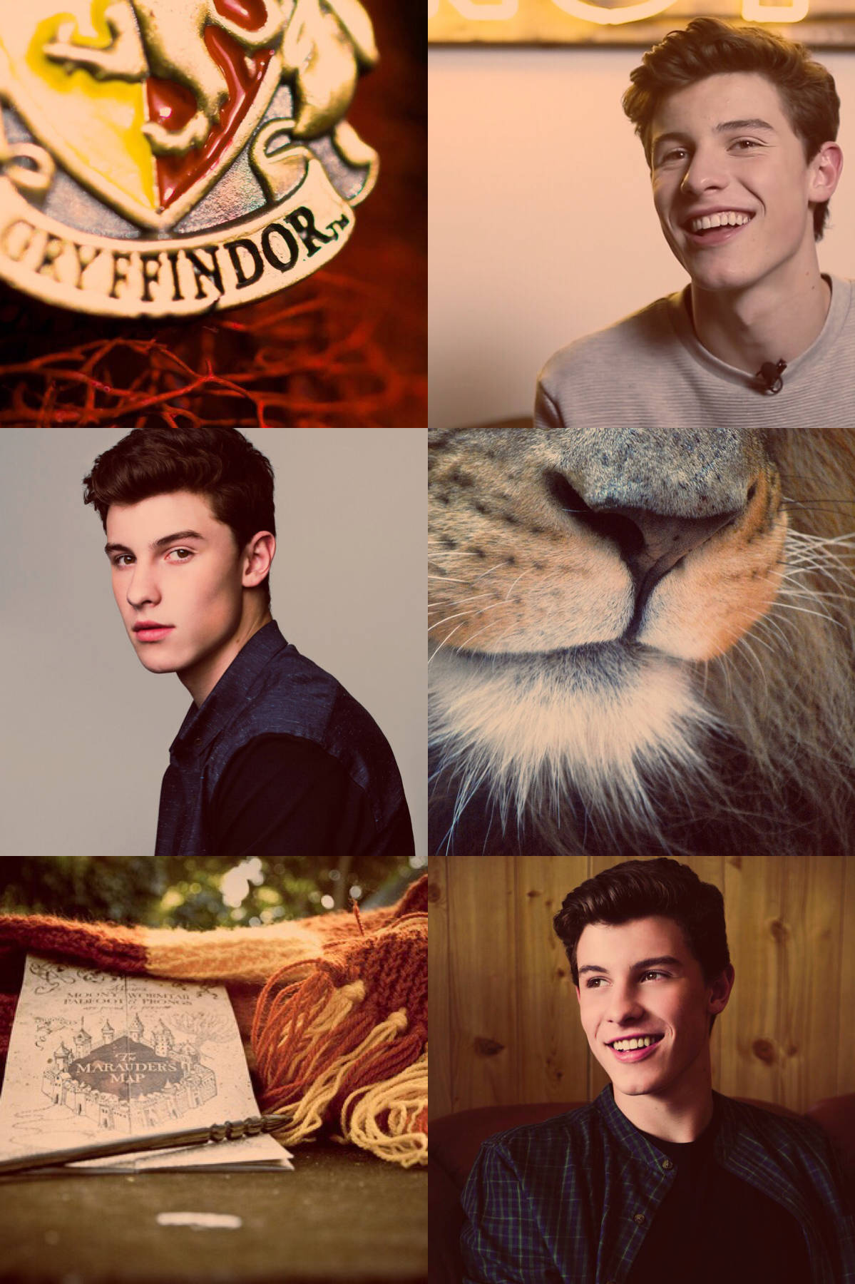 Shawn Mendes Harry Potter Collage Background