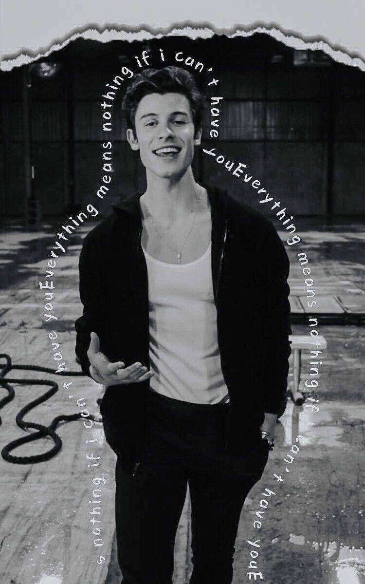 Shawn Mendes If I Can't Have You Background