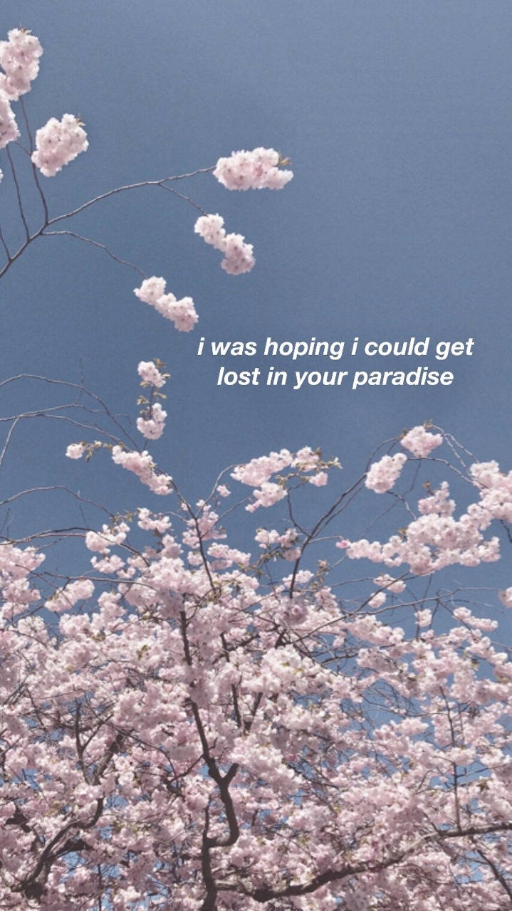 Shawn Mendes Lost In Japan Lyrics Background
