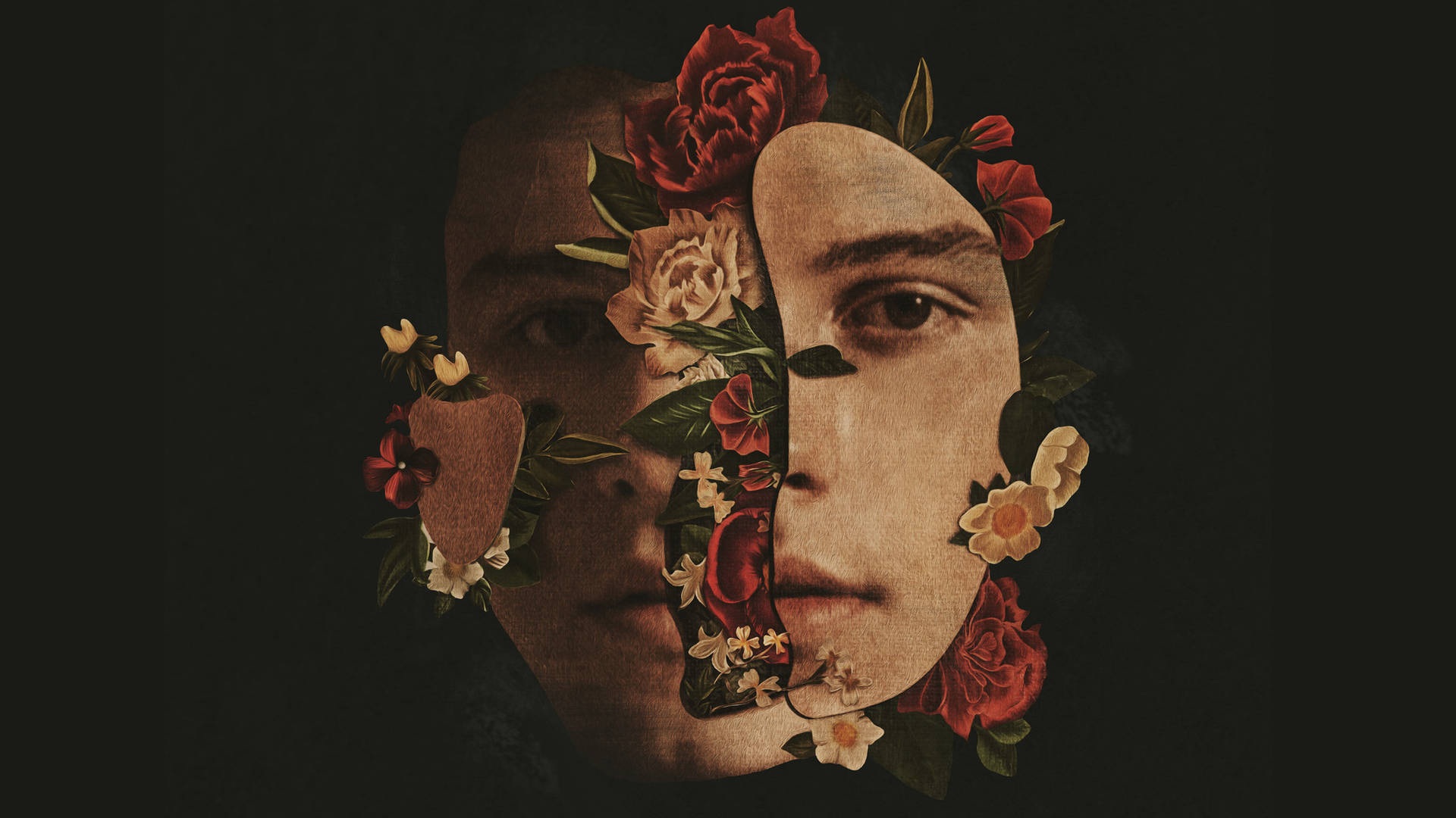Shawn Mendes The Album Background
